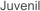 Juvenil